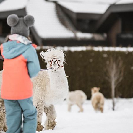 Family Aparthotel Winklwiese Valdaora Kültér fotó