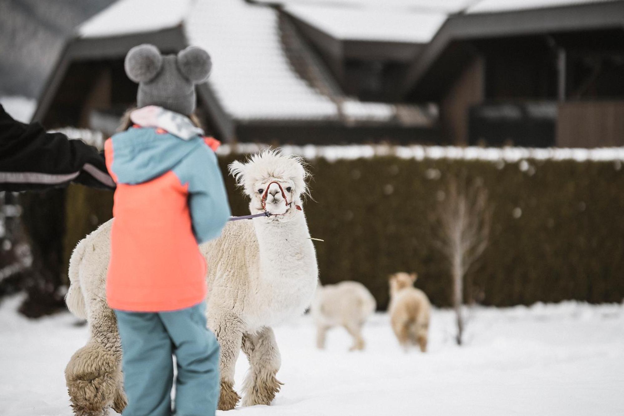 Family Aparthotel Winklwiese Valdaora Kültér fotó